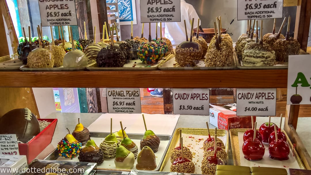 55+ Amazing things to do in Helen, this summer