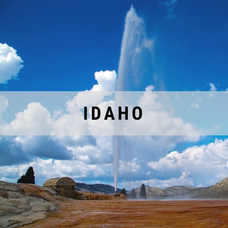 Idaho - Dotted Globe