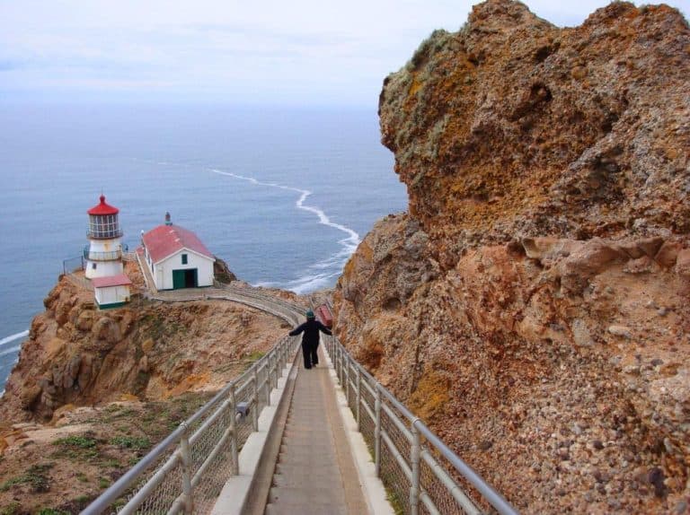 Oysters, Redwoods, and Volcanoes: The Ultimate Northern California road ...